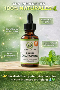 CLOROFILA LÍQUIDA- REVITALIZA TU CUERPO DE MANERA NATURAL